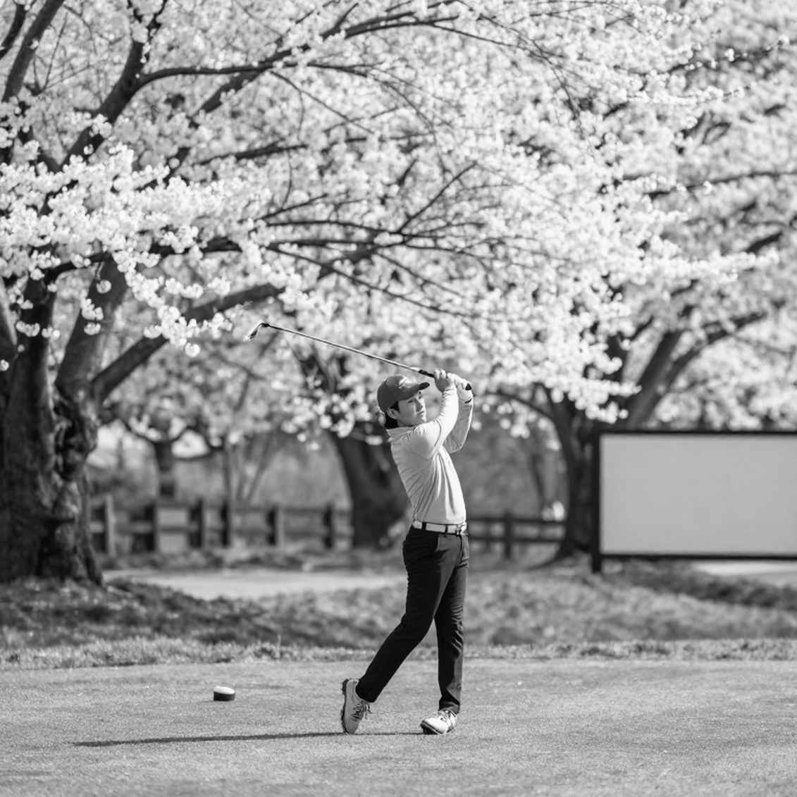 Solheim Cup 2026 ngày 2: Khoảnh khắc vàng của Carlota Ciganda hay bài học về giới hạn của dữ liệu thuần túy?